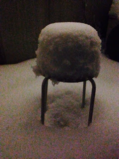 昨日から降り続いた雪