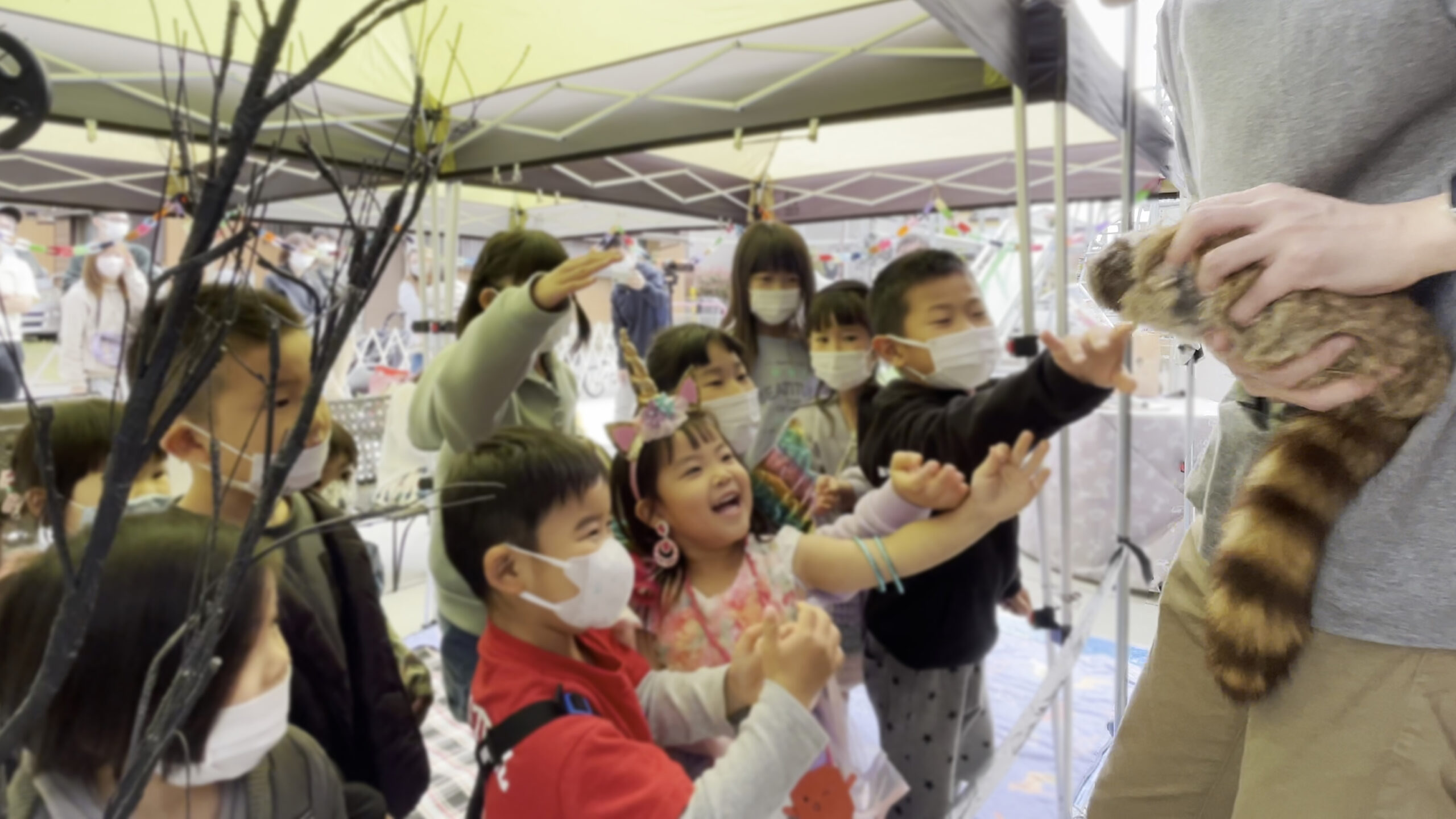 5歳の娘の誕生パーティーに出張マジシャン 春日部市, 埼玉県